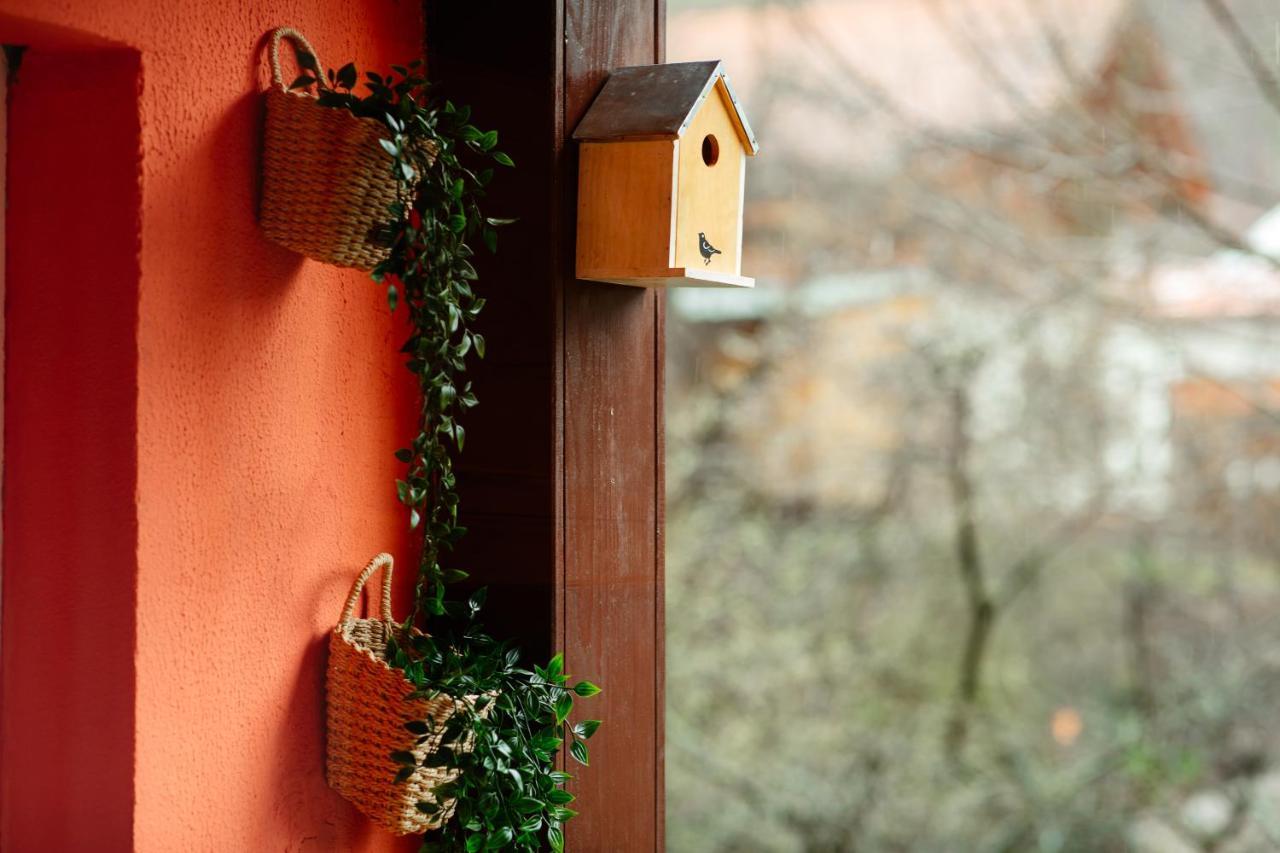 Home & Garden With Stunning View ซินายา ภายนอก รูปภาพ